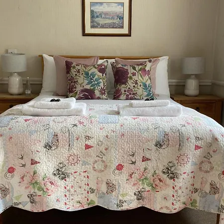 住宿加早餐酒店 新旅馆