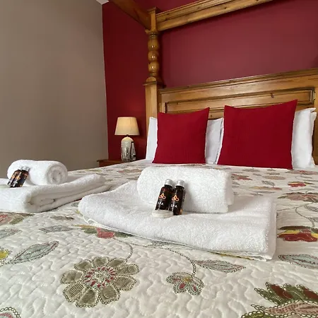 住宿加早餐酒店 新旅馆 3*